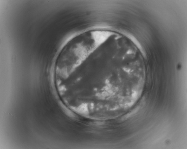 X0000103311245200809191911