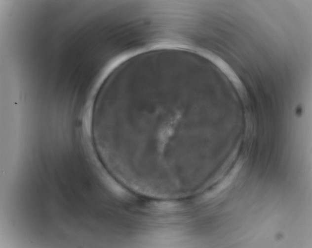 X0000103311246200809191911
