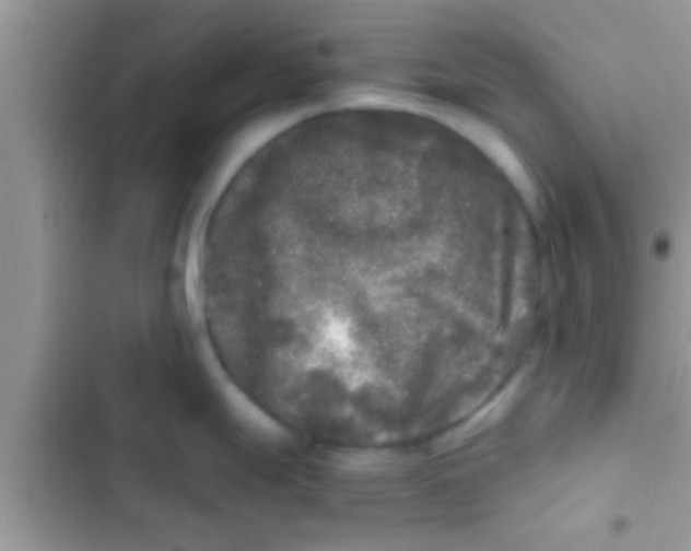 X0000103311247200809191911