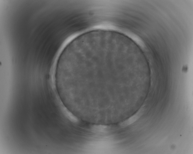 X0000103311248200809191911