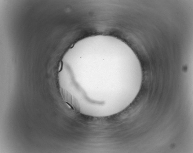 X0000103311249200809191910
