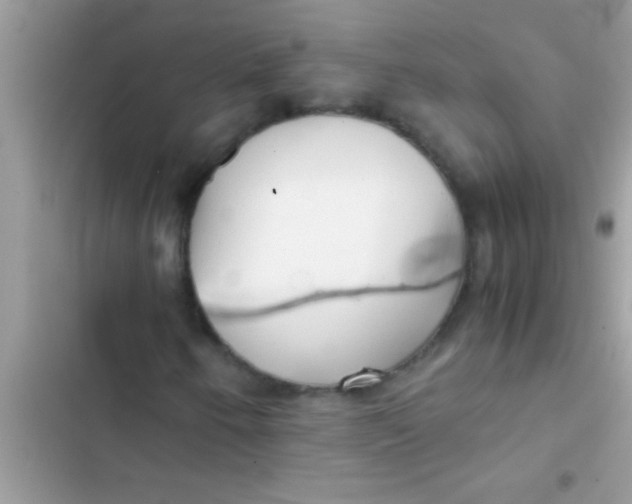 X0000103311250200809191910