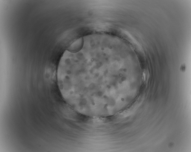 X0000103311251200809191910