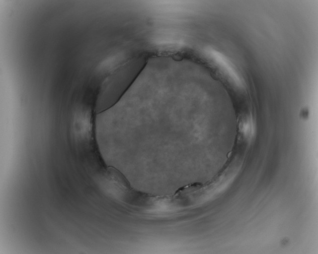 X0000103311252200809191910