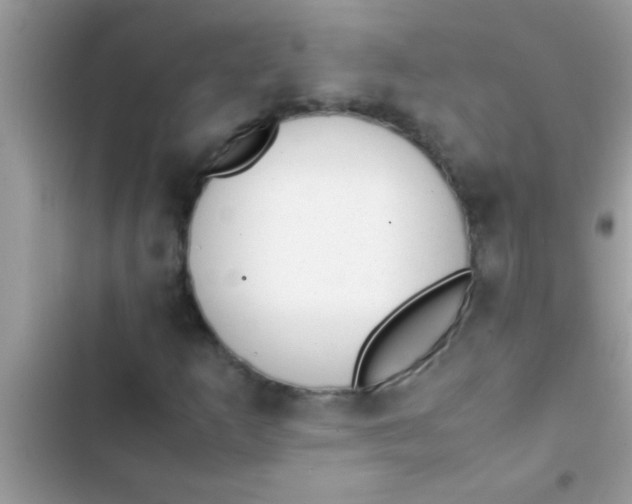 X0000103311253200809191910