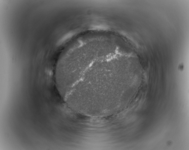 X0000103311254200809191910