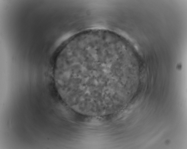 X0000103311255200809191910