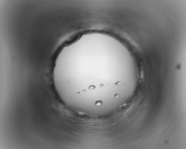 X0000103311256200809191910