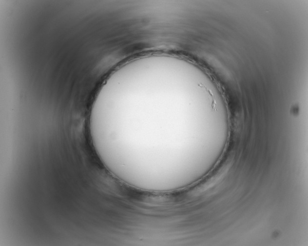 X0000103311257200809191910