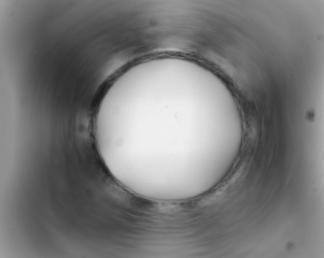 X0000103311258200809191910