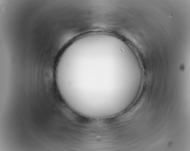X0000103311259200809191910