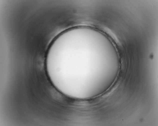 X0000103311260200809191910