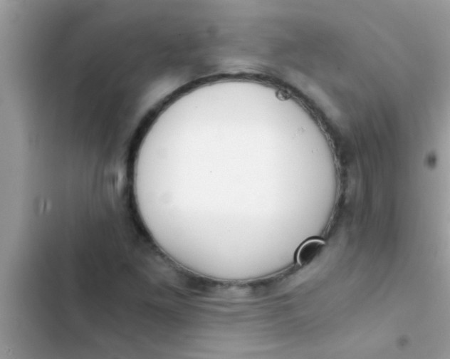 X0000103311261200809191910