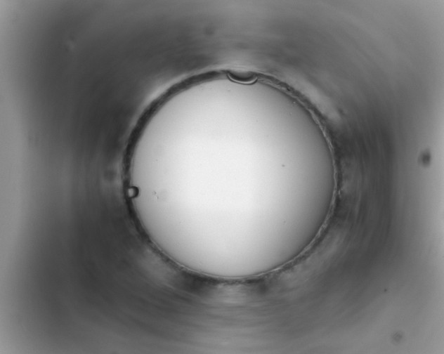 X0000103311264200809191910