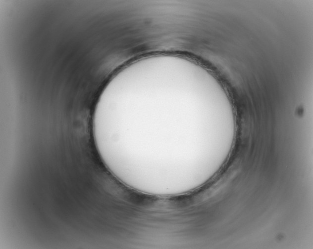 X0000103311265200809191910