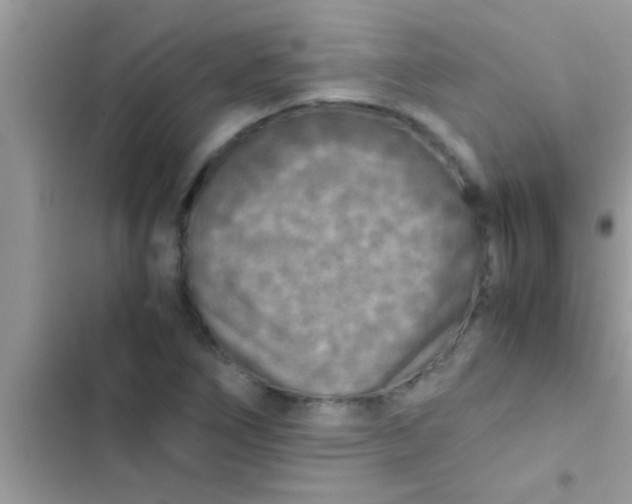 X0000103311266200809191910