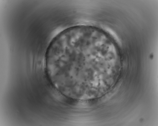 X0000103311267200809191910