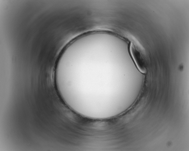 X0000103311268200809191910