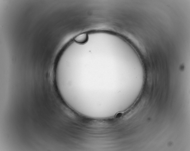 X0000103311270200809191910