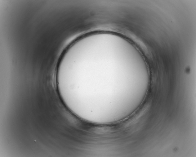 X0000103311272200809191910