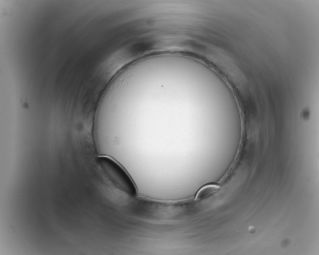X0000103311273200809191910