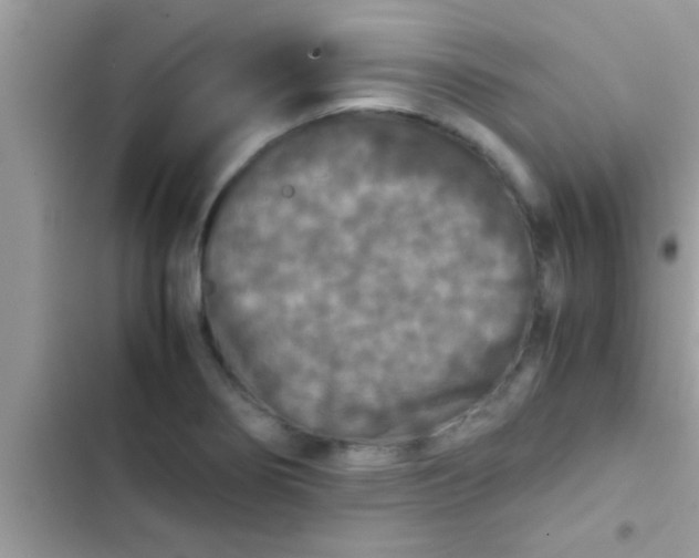 X0000103311274200809191910