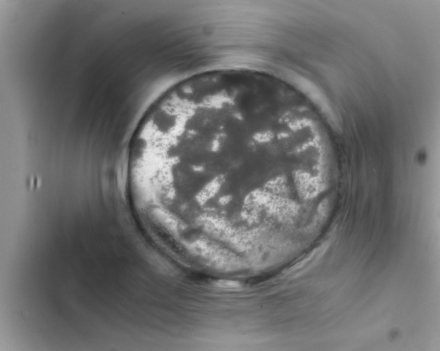 X0000103311275200809191910