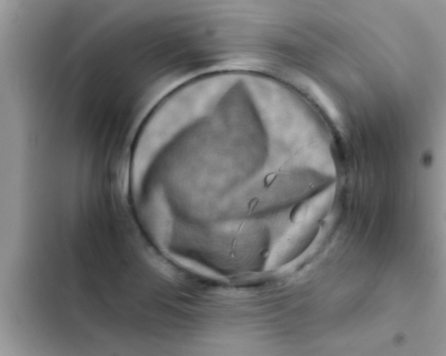 X0000103311276200809191910