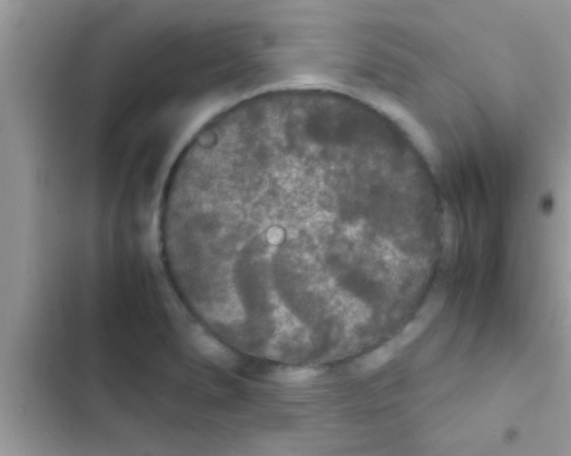 X0000103311278200809191910