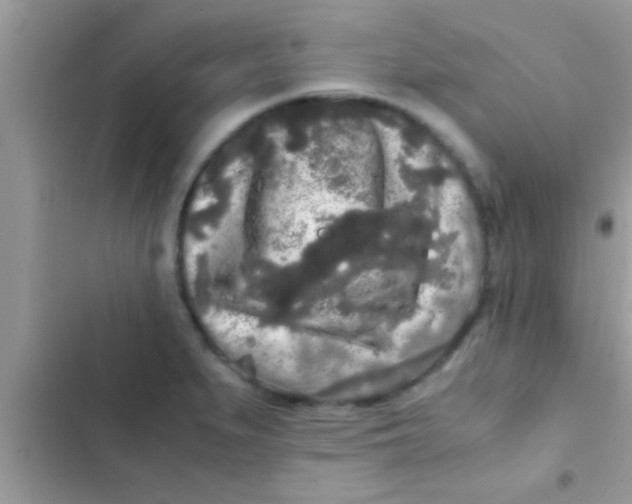 X0000103311279200809191910