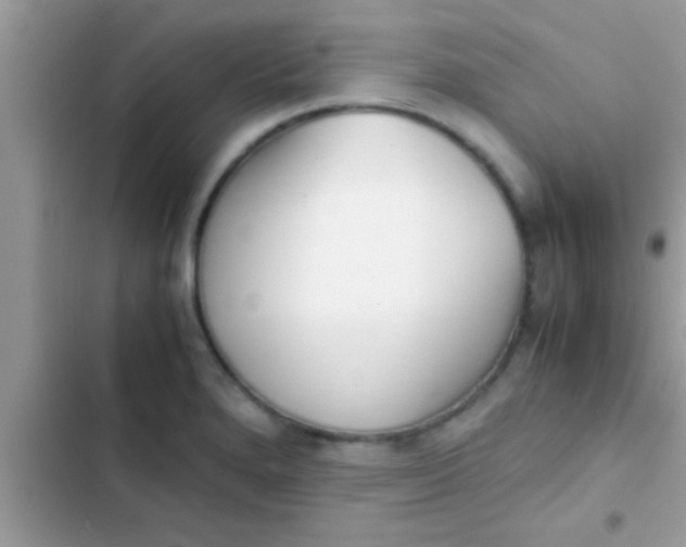 X0000103311280200809191909