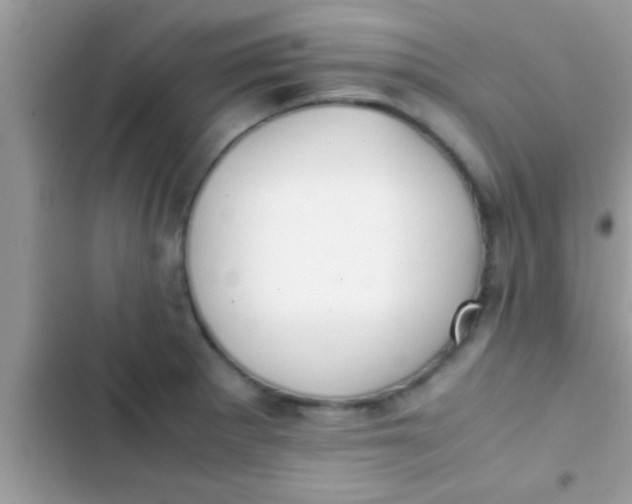 X0000103311281200809191909