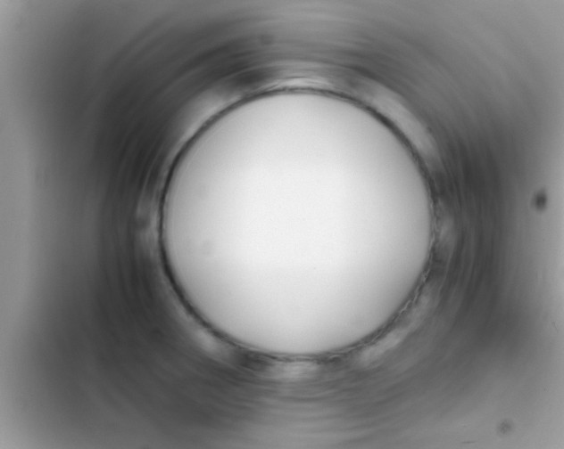 X0000103311282200809191909