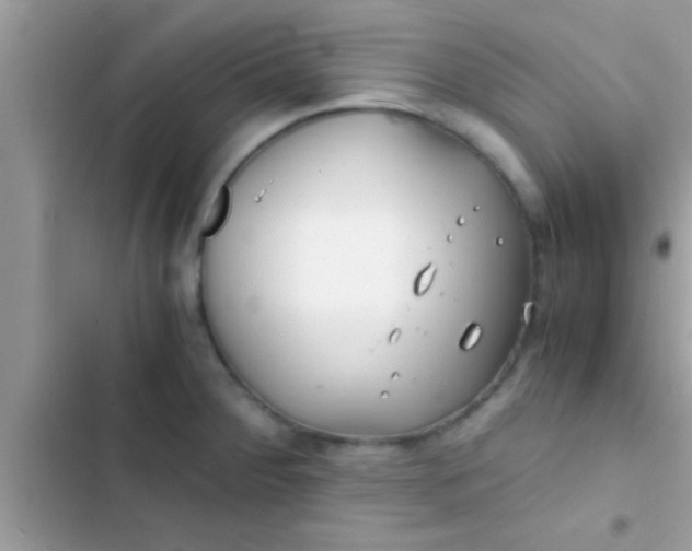 X0000103311284200809191909