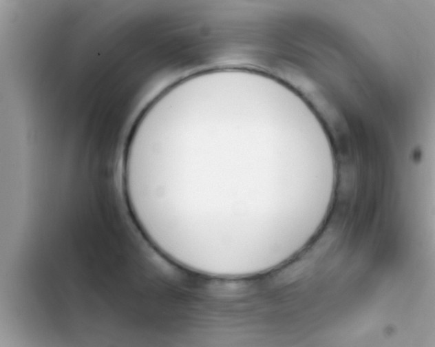 X0000103311286200809191909