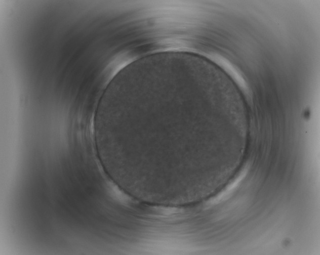 X0000103311289200809191909