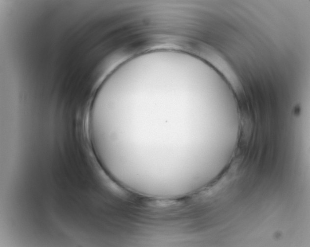 X0000103311290200809191909