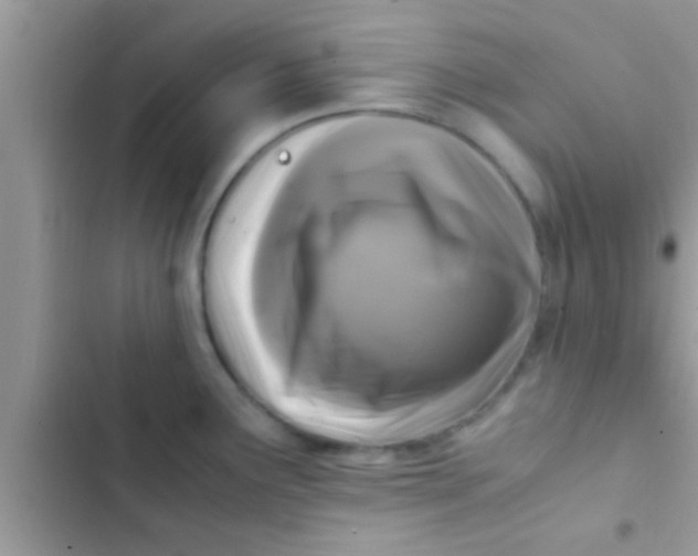 X0000103311291200809191909