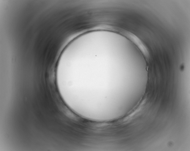 X0000103311292200809191909