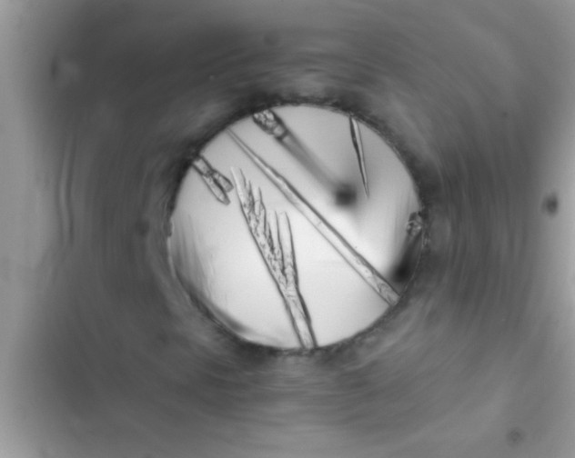 X0000103311297200809191909