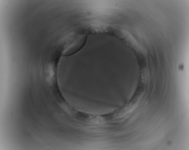 X0000103311298200809191909
