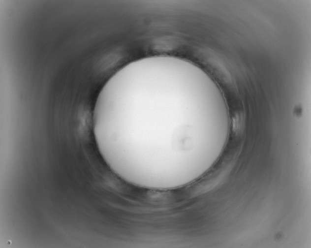 X0000103311299200809191909