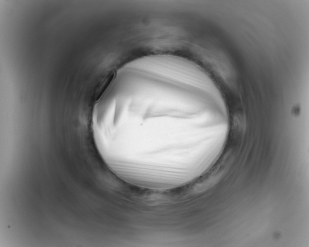 X0000103311300200809191909