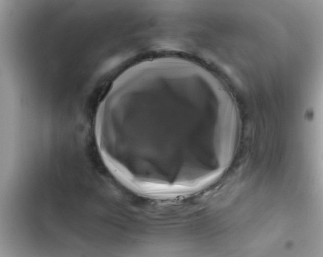X0000103311303200809191909