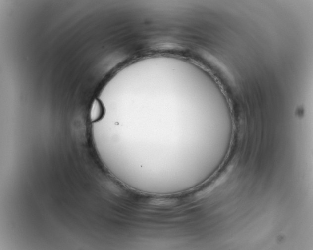 X0000103311305200809191909