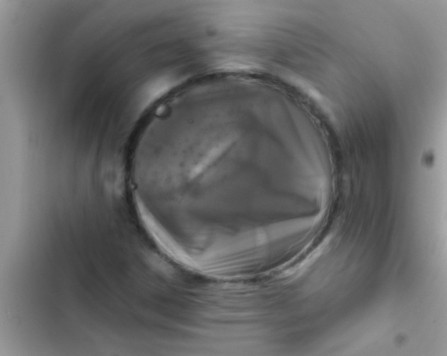 X0000103311306200809191909