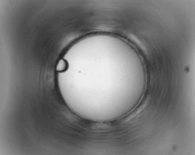 X0000103311307200809191909