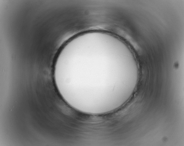 X0000103311308200809191909