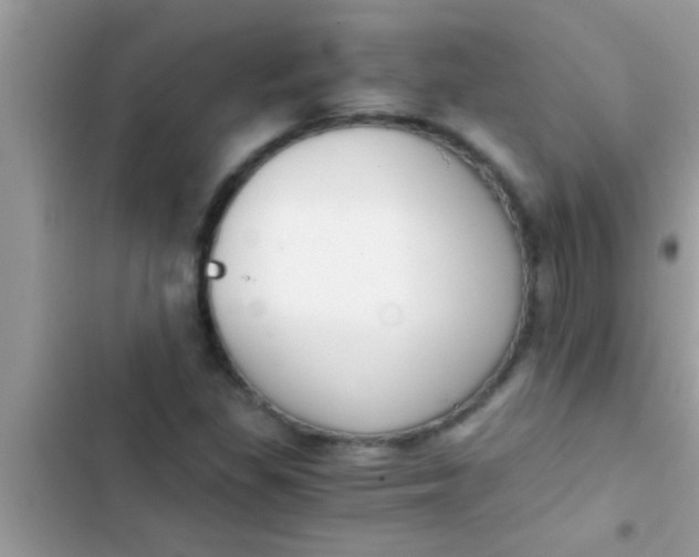 X0000103311309200809191909
