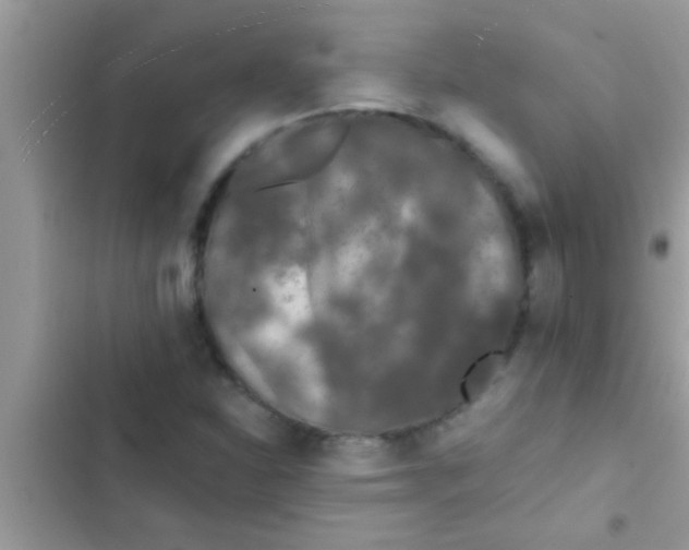 X0000103311310200809191909